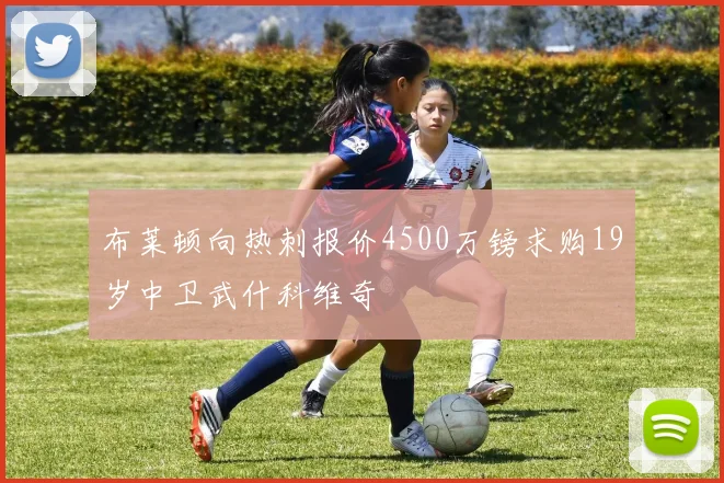布莱顿向热刺报价4500万镑求购19岁中卫武什科维奇